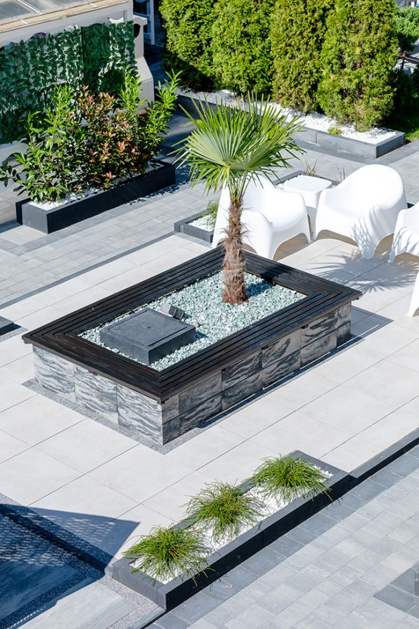 Apartament w Pobierowie z widokiem na zielone Patio z palmami